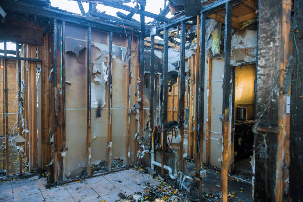 Professional Smoke Damage Removal technician working in Belle Plaine, MN